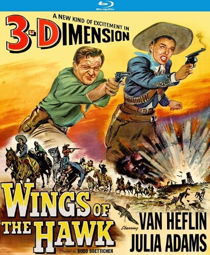 Wings of The Hawk 3D
